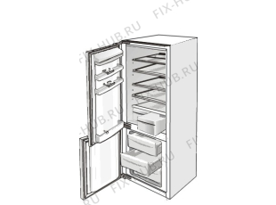 Холодильник Sibir KI291LA-R (645792, HZI2986) - Фото